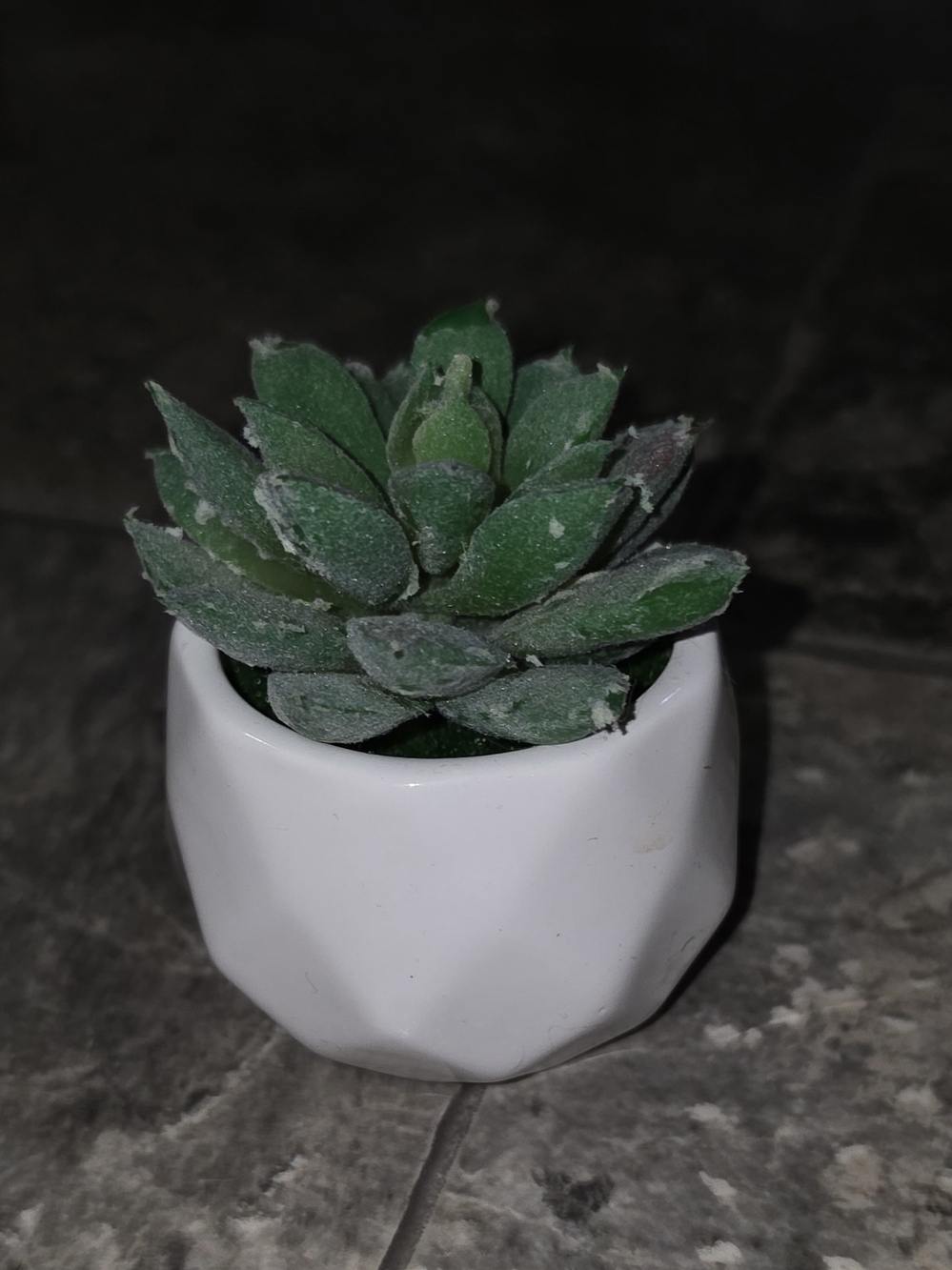 Mini Artificial Succulent in White Geometric Ceramic Pot BNIB